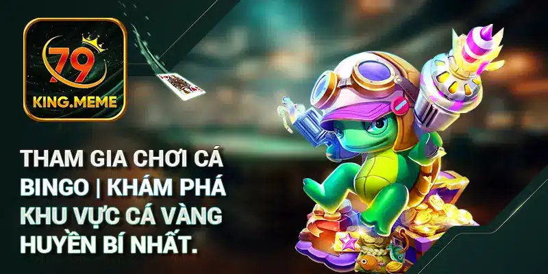 Tham Gia Bắn Cá Bingo | Khám Phá Khu Vực Huyền Bí Nhất